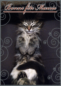 Petits chats pour une douce mamie